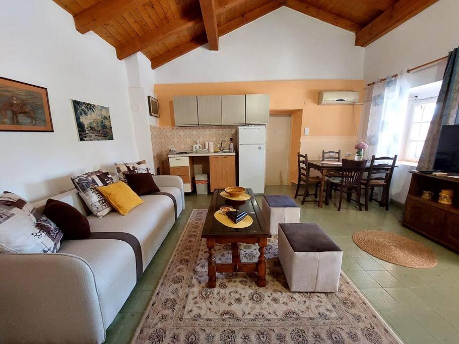Apartman Boljevic Podgorica Esterno foto