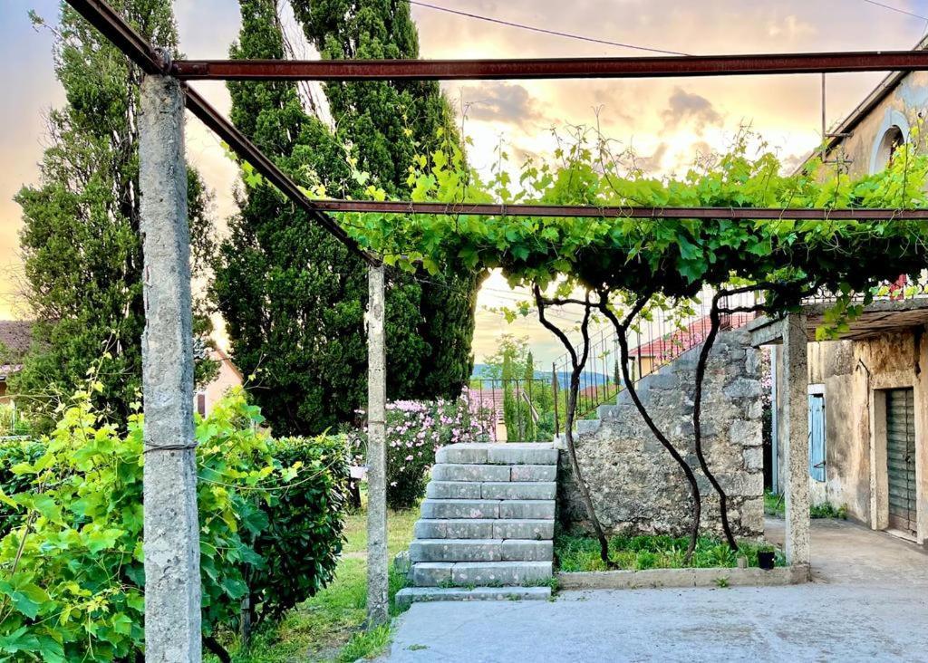 Apartman Boljevic Podgorica Esterno foto
