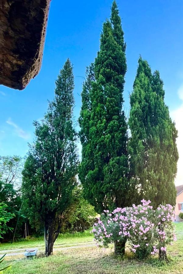 Apartman Boljevic Podgorica Esterno foto